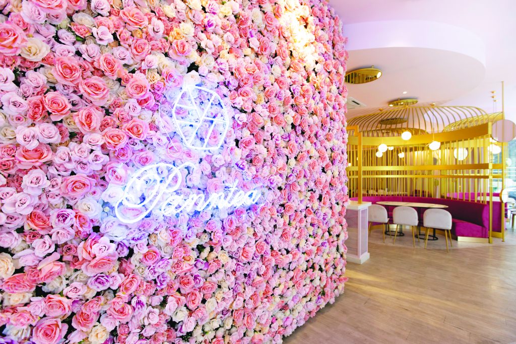 pink roses wall